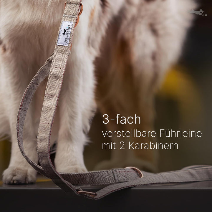FREUDENTIER® Hundehalsband und Hundeleine im eleganten Set - 2m Leine, 3-Fach verstellbar - Robust &