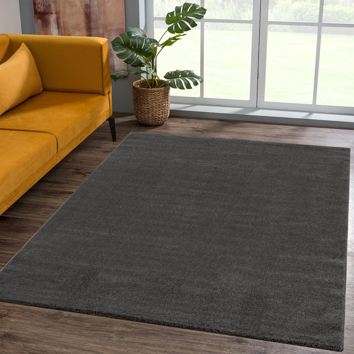 SANAT Kurzflor Teppich Wohnzimmer - Uni Modern Teppiche fürs Schlafzimmer, Arbeitszimmer, Büro, Flur