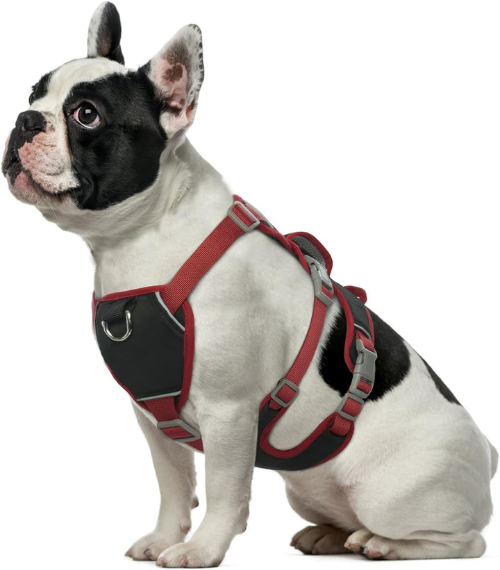 Hjumarayan Hundegeschirr Mittelgrosse Hunde - Reflektierende Geschirr Hund Wasserdicht Sicherheitsge