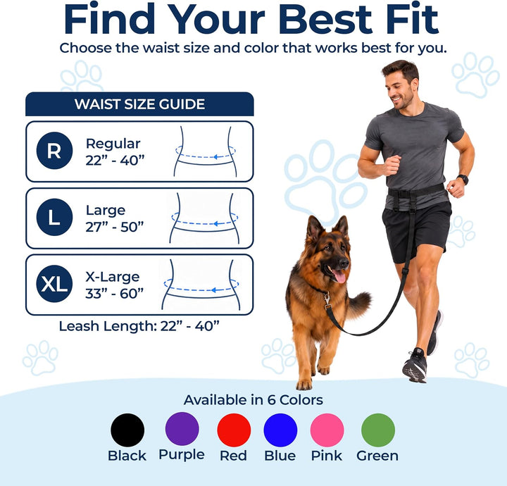The Buddy System Made in USA Adjustable Hands Free Leash, Great for Running, Regular Dog System, Reg