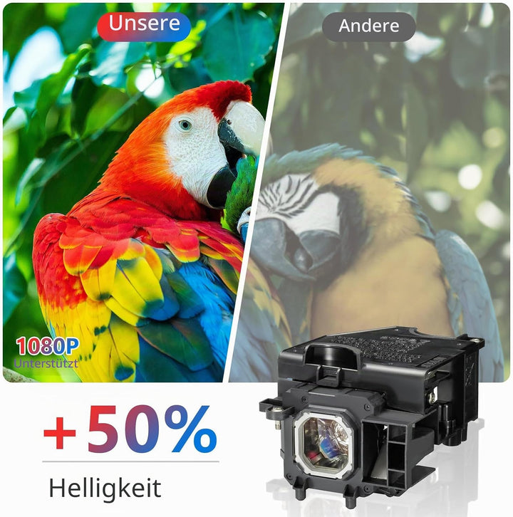 NP16LP Ersatz Projektor Lampe mit Gehäuse für NEC M260WS / M300W / M300XS / M350X / M300WG / M260WSG