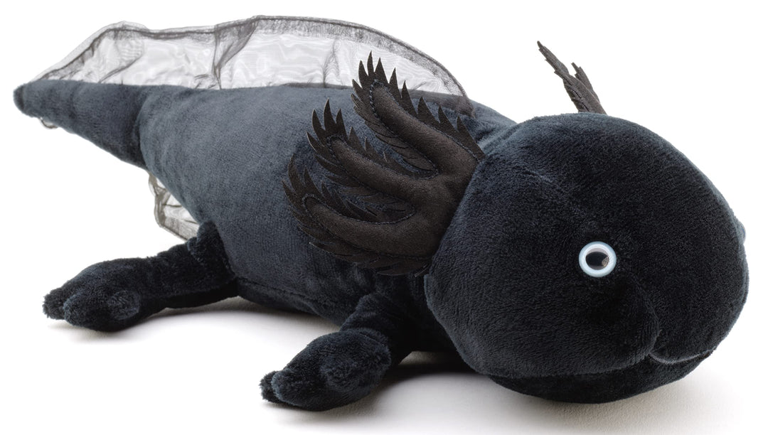 Uni-Toys Original Axolotl (schwarz) - 32 cm (Länge) - Plüsch-Wassertier - Plüschtier, Kuscheltier, S