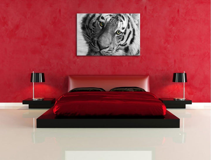 Pixxprint bildschöner Tiger schwarz/weiss auf Leinwand, XXL riesige Bilder fertig gerahmt mit Keilra
