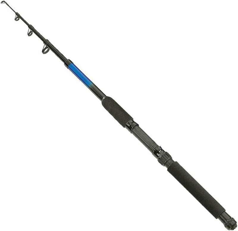Angelset 2 Ruten + 2 Rollen mit Kescher und Zubehör Haken Posen Schnur