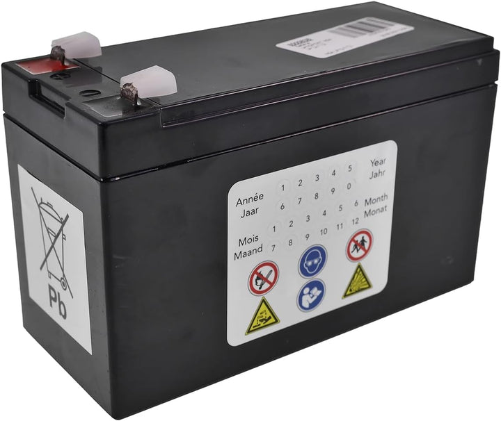 LP BATTERIES NSA LP12-7 T2 AGM Akku Vlies Batterie VRLA Zyklenfest Wartungsfrei für Elektro Spielzeu