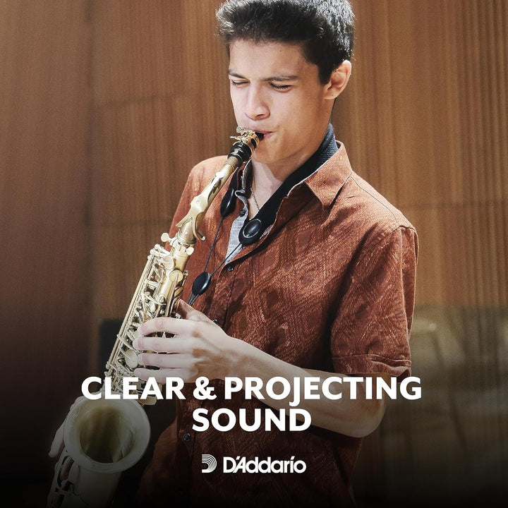 Rico by D'Addario Blätter für Altsaxophon, Nr. 2,5, 25 Stück