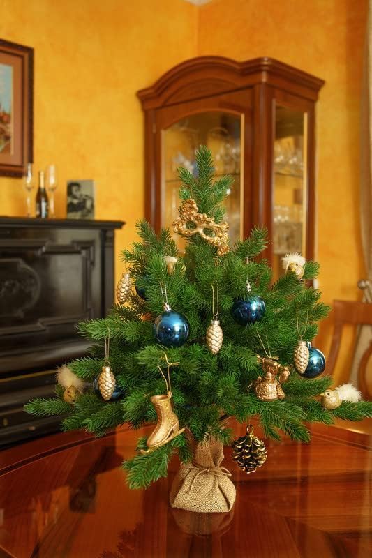eveXmas 65cm Künstlicher Weihnachtsbaum, Tannenbaum ALTAIR Klassik Grün, 62 Zweige 100% PE-Spitzen,