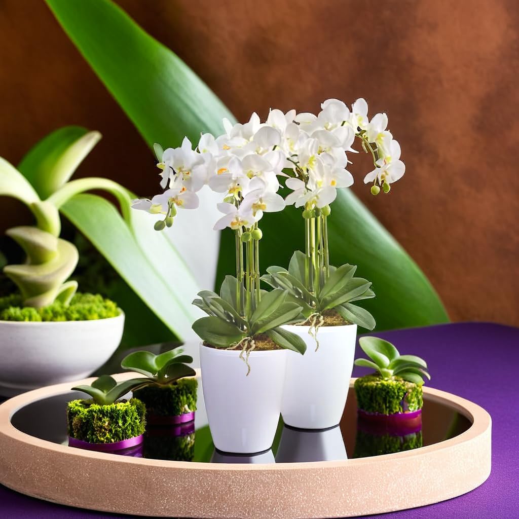 Santino 4er-Set Orchideentopf D 12cm Selbstbewässernder Topf mit Dochtsystem und Wasserstandsanzeige