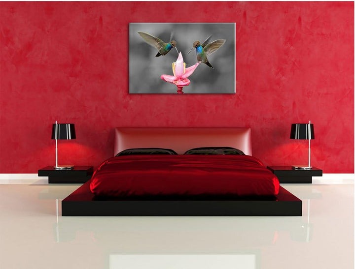 Pixxprint Kolibris in den Tropen als Leinwandbild/Grösse: 100x70 cm/Wandbild/Kunstdruck/fertig bespa