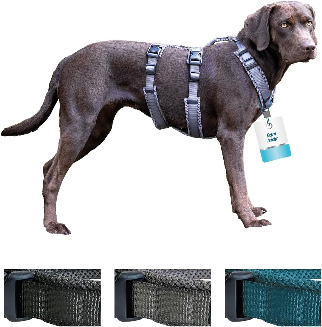 Petlando Sicherheitsgeschirr, ausbruchsicheres Hundegeschirr mit extra Bauchgurt, weich gepolstert m