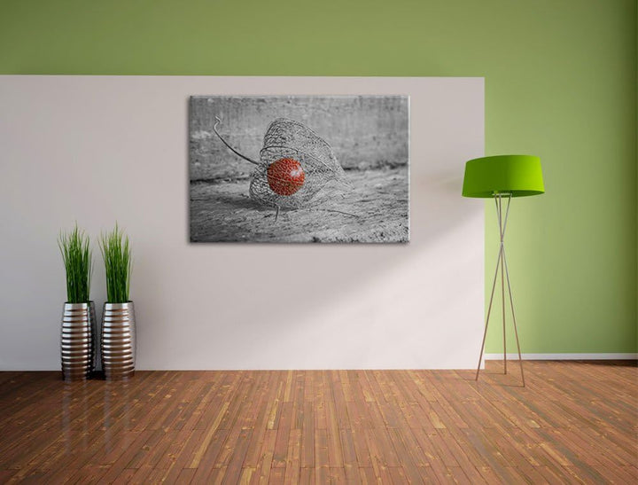 leckere Physalis in Schale schwarz/weiss Format: 100x70 auf Leinwand, XXL riesige Bilder fertig gera