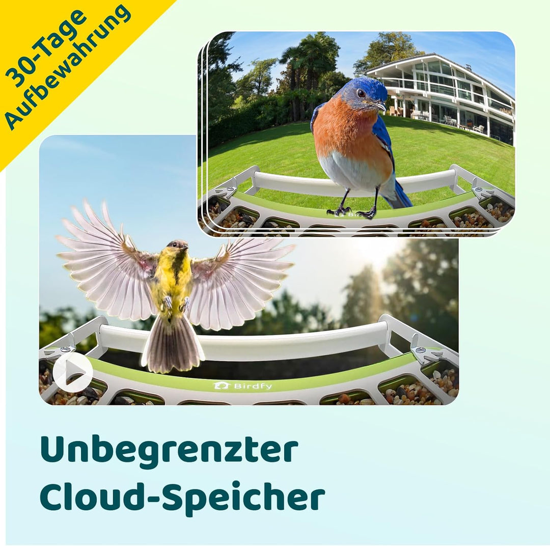 Birdfy Metall Vogelfutterhaus mit Kamera zur Live-Vogelbeobachtung, KI Vogelerkennung ohne ABO, 1080