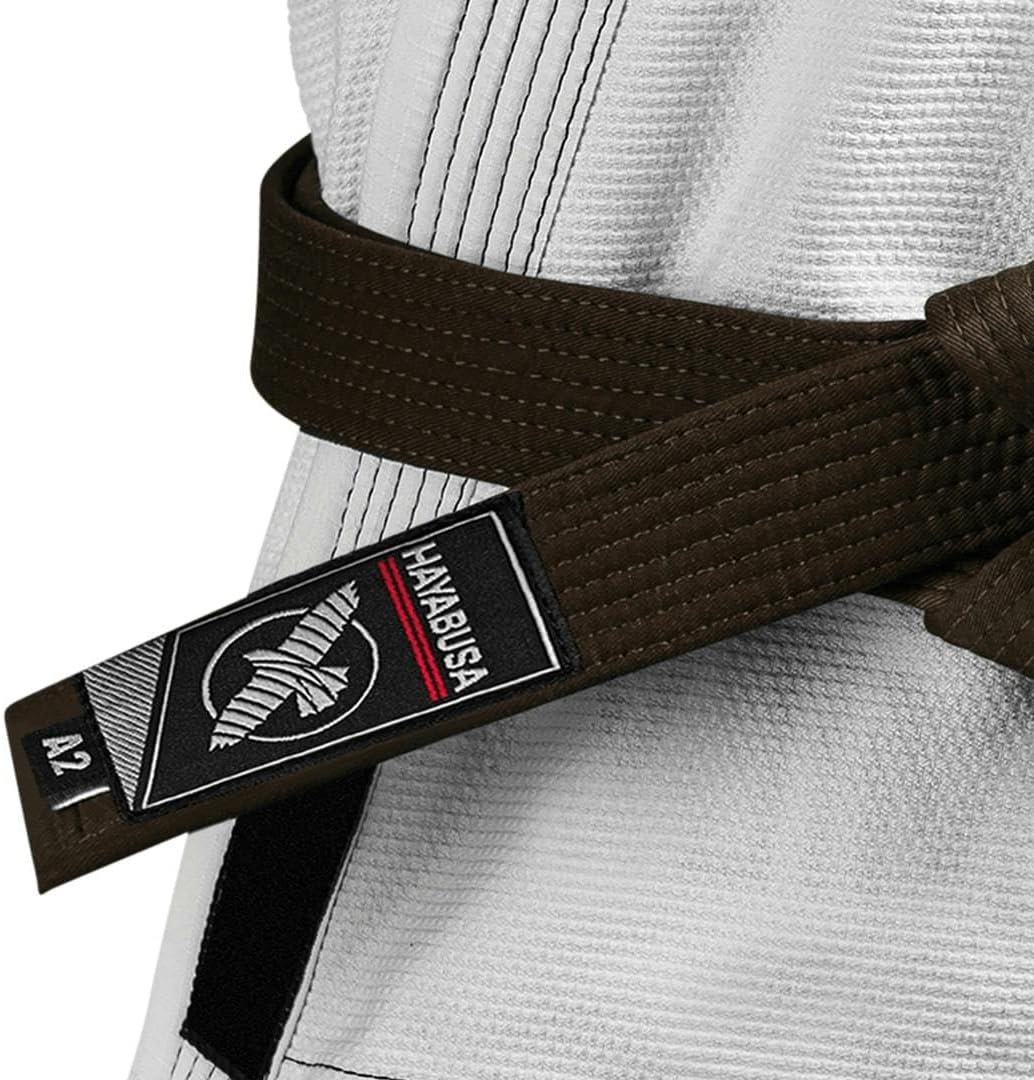 Hayabusa A3 Braun, A3 Braun