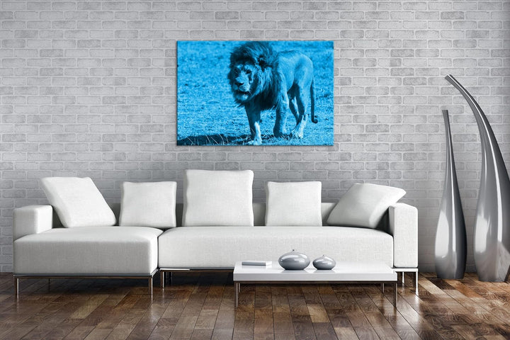 deyoli einsam umherstreifender Löwe Format 80x60 Effekt: Monocrome Blau als Leinwandbild, Motiv fert