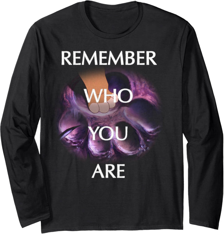 Disney The Lion King Simba Remember Who You Are Overlay Langarmshirt
