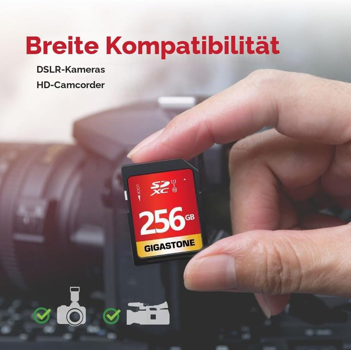 256GB Gigastone Pro SDXC 95MB Digital Card GS-SD-256 1-1PK-B