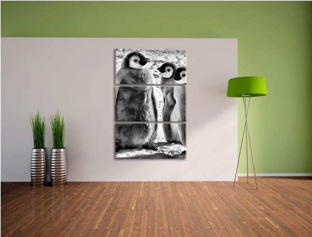 Pixxprint Monocrome, DREI Kaiserpinguin-Küken 3-Teiler Leinwandbild 120x80 Bild auf Leinwand