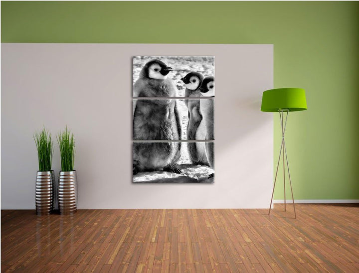 Pixxprint Monocrome, DREI Kaiserpinguin-Küken 3-Teiler Leinwandbild 120x80 Bild auf Leinwand
