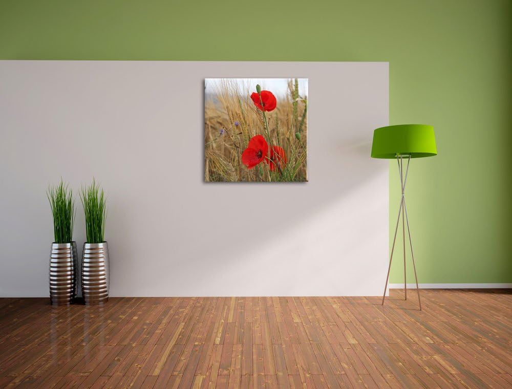 Mohnblumen im Getreidefeld, Format: 70x70 auf Leinwand, XXL riesige Bilder fertig gerahmt mit Keilra