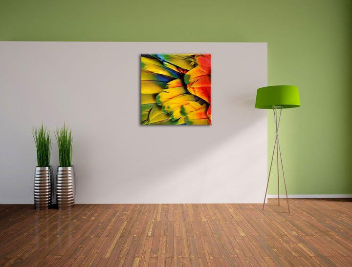 Bunte Papageienfedern, Format: 70x70 auf Leinwand, XXL riesige Bilder fertig gerahmt mit Keilrahmen,