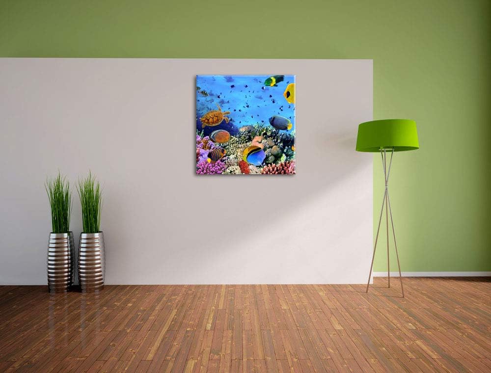 Pixxprint Fische über Korallenriff als Leinwandbild/Grösse: 70x70 cm/Wandbild/Kunstdruck/fertig besp