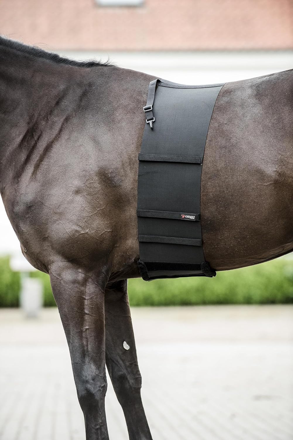 CATAGO Body Shield Small 170 cm/Small Schwarz, 170 cm/Small Schwarz