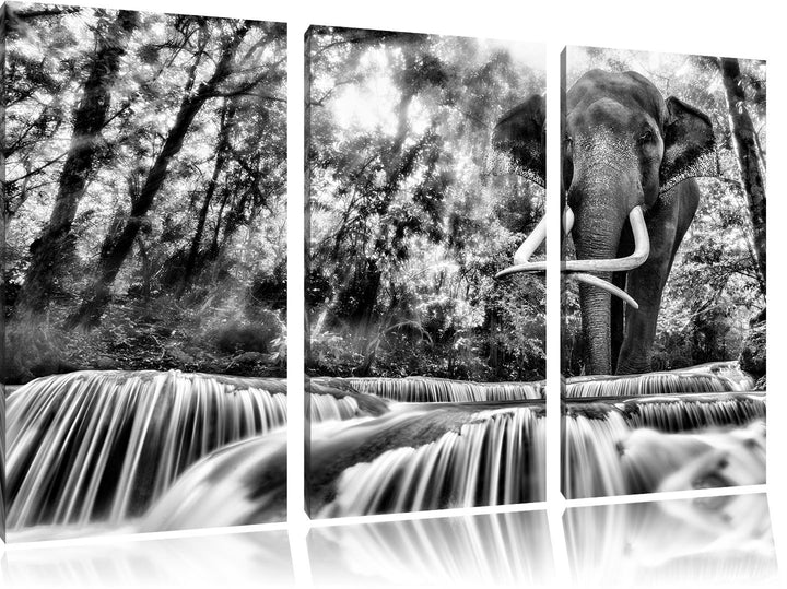 Pixxprint Elefant am Bach als Leinwandbild/Grösse: 3 Teilig (120x80) cm/Wandbild/Kunstdruck/fertig b