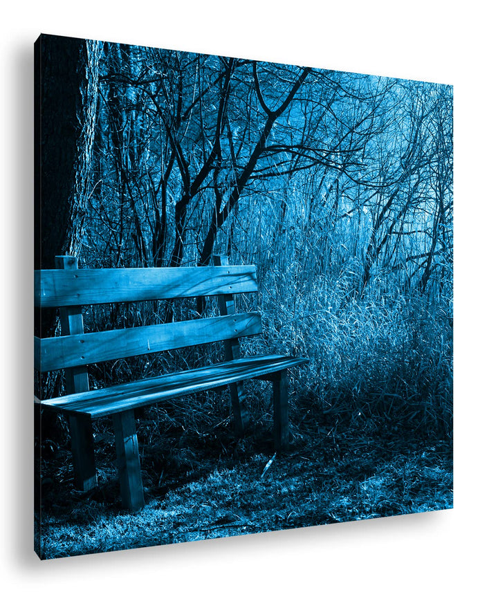 deyoli einsame Bank im Wald Format: 60x60 Effekt: Monocrome Blau als Leinwandbild, Motiv fertig gera