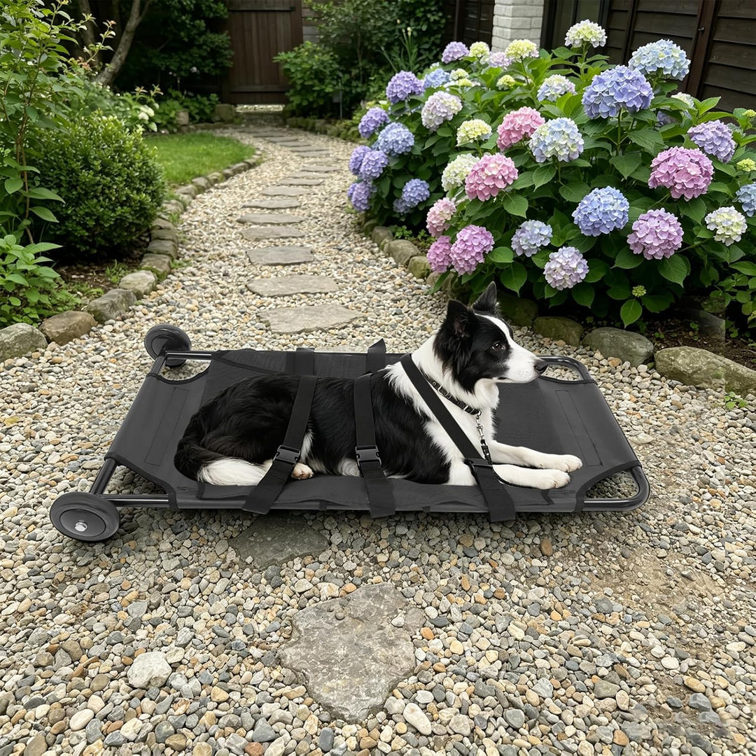 Hundetragetasche, 115x56x13cm Tragbare Zusammenklappbare Hundetrage für grosse Hunde, Transporttrage