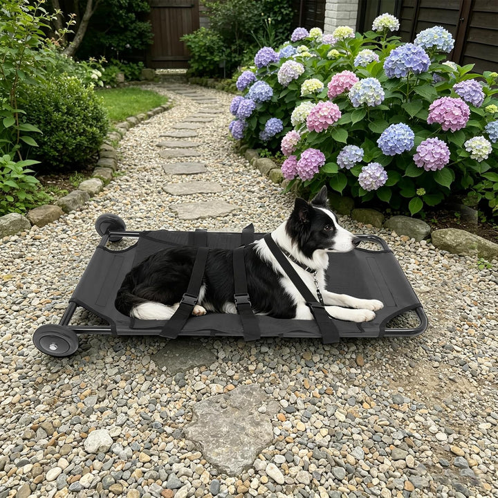 Hundetragetasche, 115x56x13cm Tragbare Zusammenklappbare Hundetrage für grosse Hunde, Transporttrage