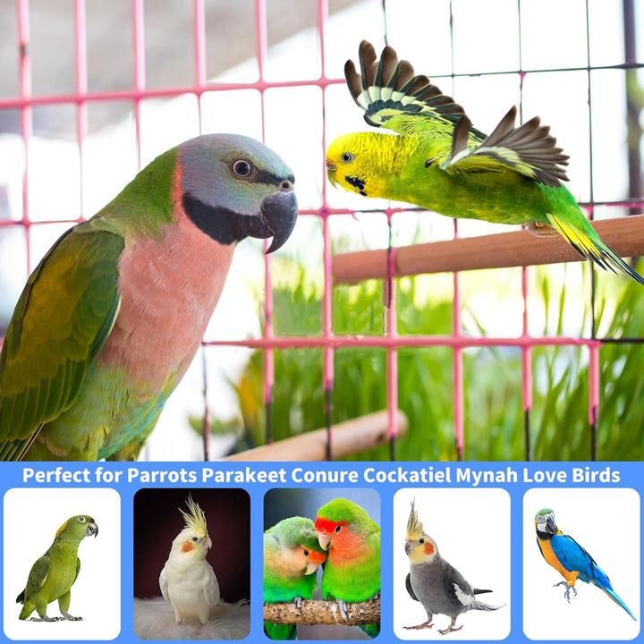 Wellensittich Spielzeug, Papagei Spielzeug, Wellensittich Schaukel Vogelkäfig Zubehör Vogelspielzeug