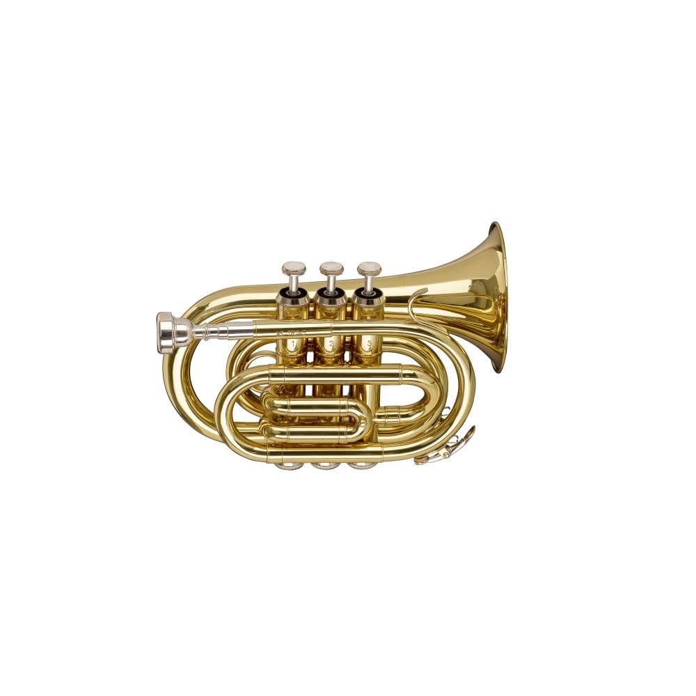 Stagg WS-TR245S B-Taschentrompete im Softcase