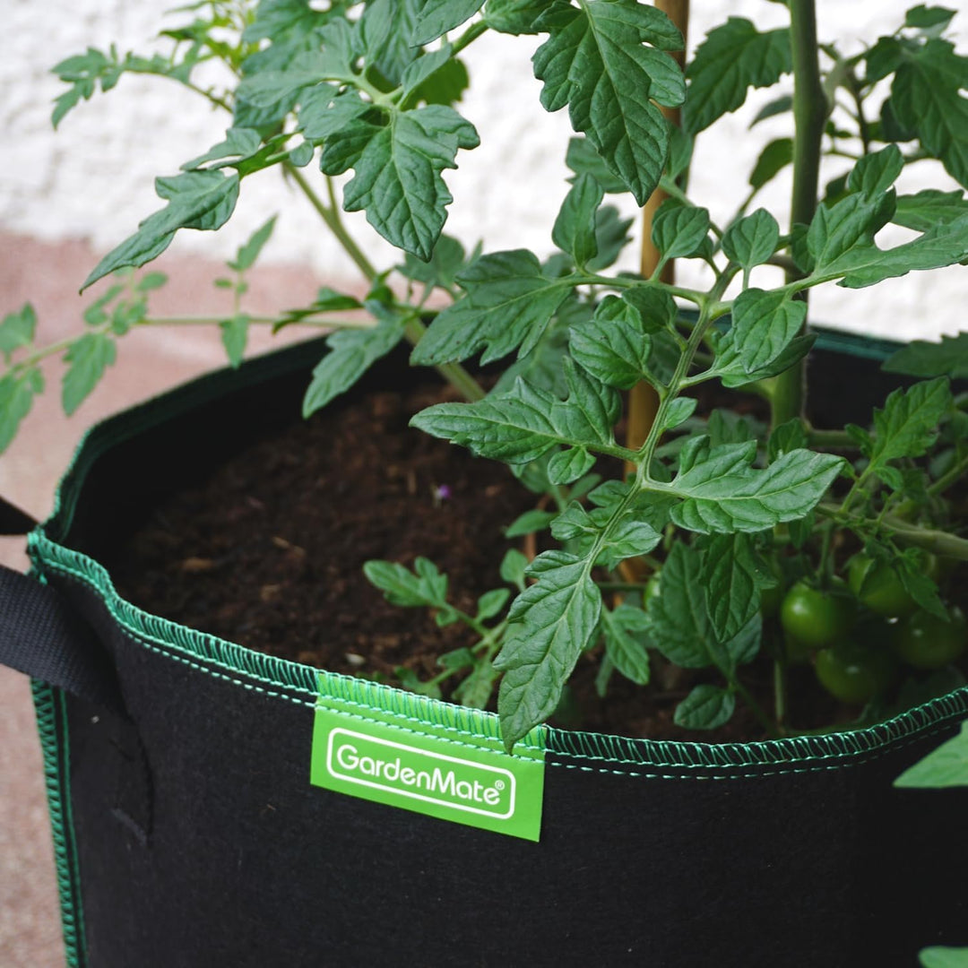 GardenMate 6X 30L Pflanzsack aus Vliesstoff Ø35.6cm Höhe 30.5cm - GREENLINE 30 Liter - 6er Set Green
