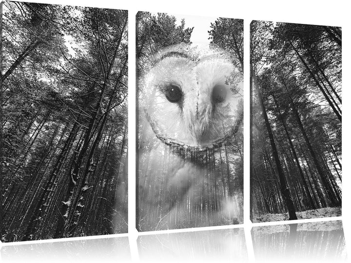 Pixxprint Portrait Einer Eule als Leinwandbild 3 teilig/Grösse: 3 Teilig (120x80) / Wandbild/Kunstdr