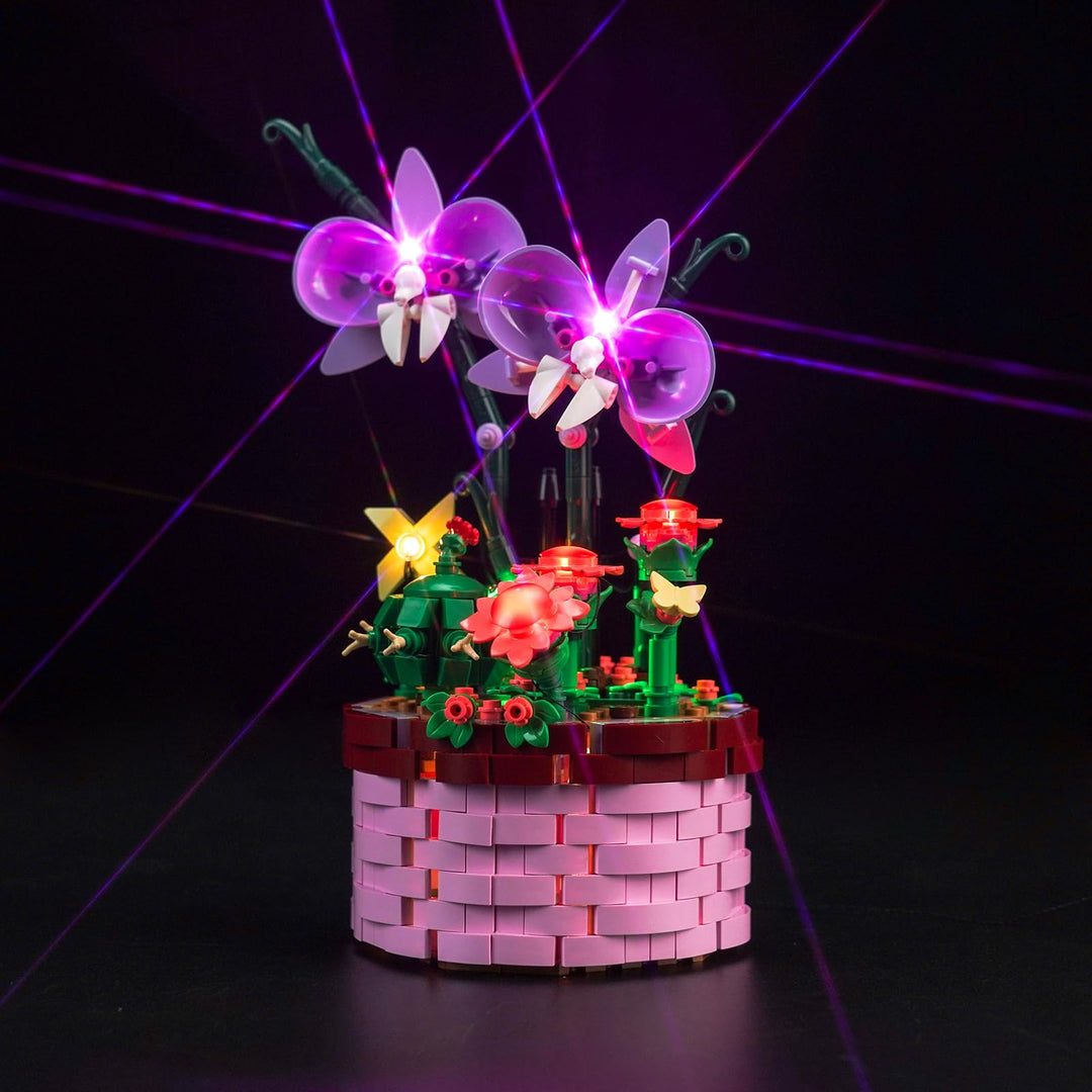 Led Licht Set für Lego Disney Encanto Isabelas Blumentopf (Kein Lego), Dekorationsbeleuchtungsset fü