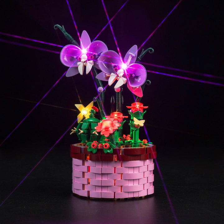 Led Licht Set für Lego Disney Encanto Isabelas Blumentopf (Kein Lego), Dekorationsbeleuchtungsset fü