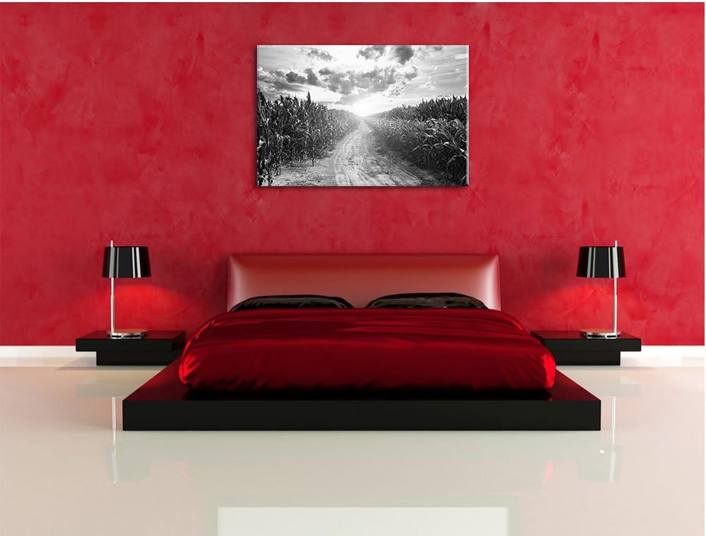 Pixxprint Pfad durch sonniges Feld Kunst B&W als Leinwandbild/Grösse: 100x70 cm/Wandbild/Kunstdruck/