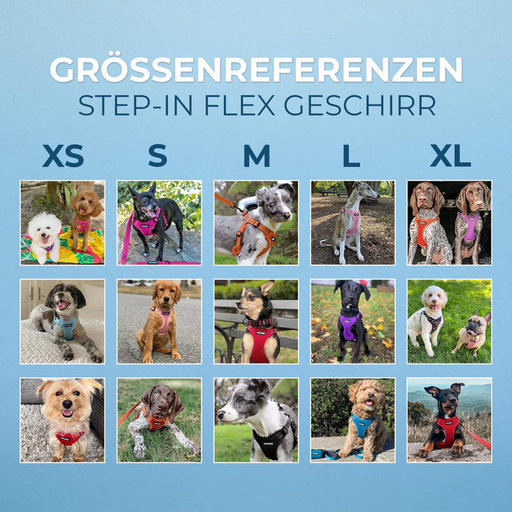 Voyager Verstellbares Hundegeschirr mit Reflektorstreifen by Best Pet Supplies - Strapazierfähige Ga