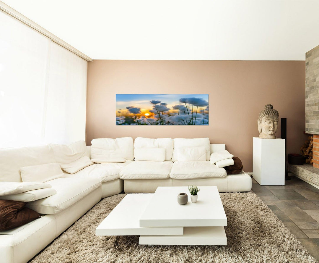 Paul Sinus Art Panoramabild auf Leinwand und Keilrahmen 150x50cm Baumwollpflanze Feld Sonnenuntergan