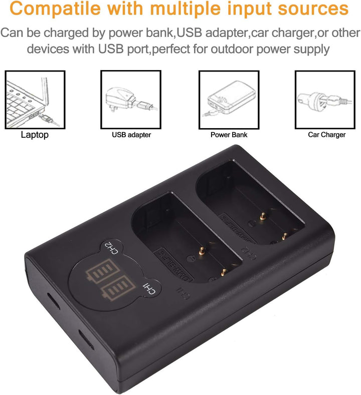 DSTE 2 x DMW-BLF19E Ersatzakku + Dual USB-Ladegerät mit LCD-Display, kompatibel mit DMW-BLF19 und Pa
