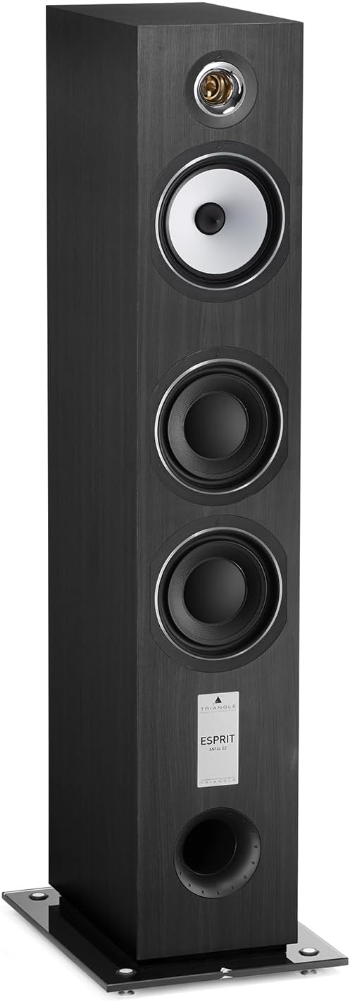 TRIANGLE - Hi-Fi-Standlautsprecher Antal EZ - Belastbarkeit 120 W - Wirkungsgrad 92 dB/W/m - Vielsei