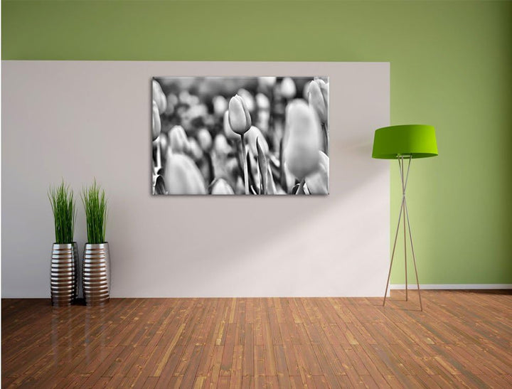 Pixxprint Gelbe Tulpen im Frühling / 100x70cm Leinwandbild bespannt auf Holzrahmen/Wandbild Kunstdru