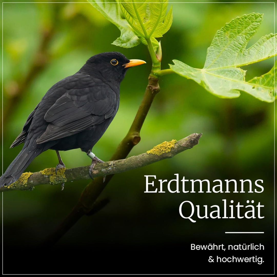 Erdtmanns - 150 Meisenknödel ohne Netz für Wildvögel im Karton I Umweltfreundlich I Vielfältige Zusa