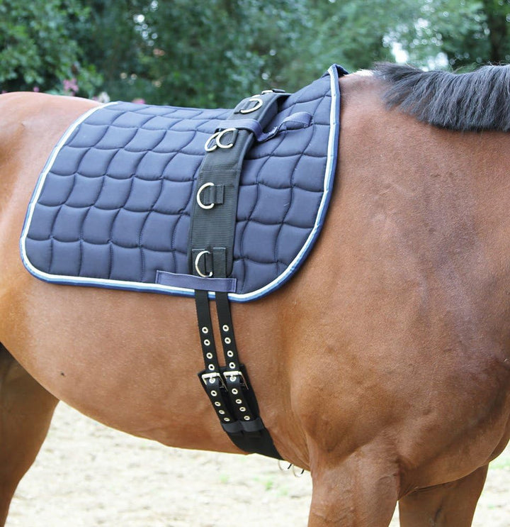 Kerbl Longiergurt, breit, 9 Ringe mit verstellbarem Bauchgurt Pony (160-200 cm Umfang) Farbe: schwar