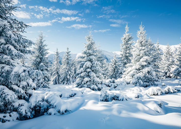 AIIKES 10x8FT Schneelandschaft Hintergrund Winter Wald Schnee Baum Fotografie Hintergrund Outdoor Hi