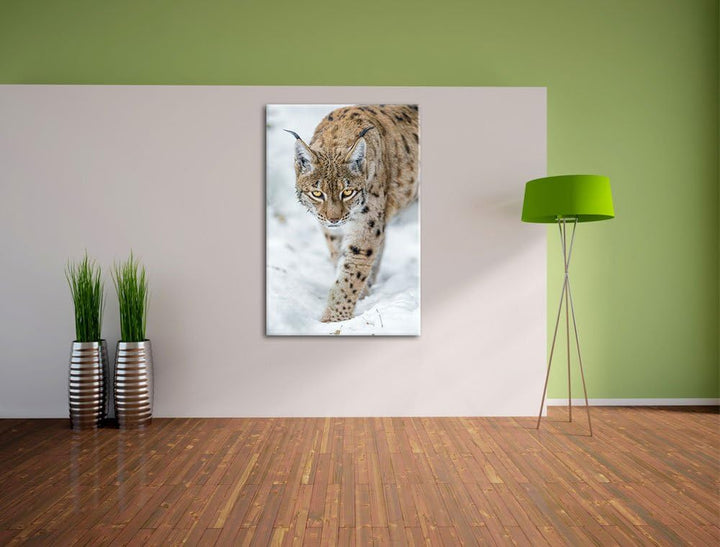 Pixxprint wachsamer Luchs im Schnee auf Leinwand, XXL riesige Bilder fertig gerahmt mit Keilrahmen,