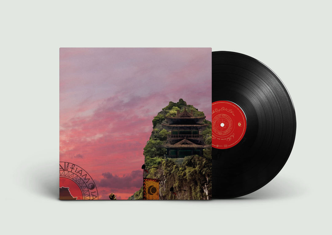 Troisième vague, Vinyl
