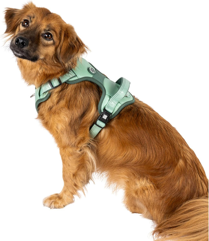 Max & Molly Sport Hundegeschirr Mittelgrosse Hunde mit Gotcha! Smart ID Sicherheitsanhänger, Matrix