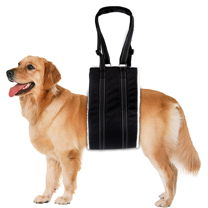 Tragehilfe Hund Einstellbare Hunde Tragehilfe Gross Hund Hinten Lift Support Geschirr für Kleine, Mi