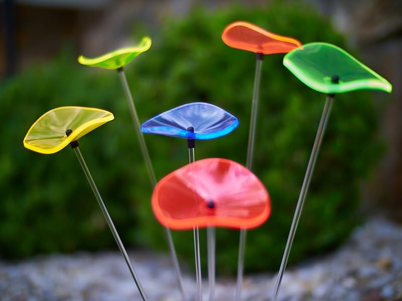 Cazador-del-sol ® - das Original | Lucille | 6 Stück | geschwungener Sonnenstrauss kunterbunt | Durc